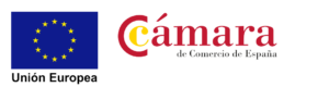 Tic Camaras Castellón